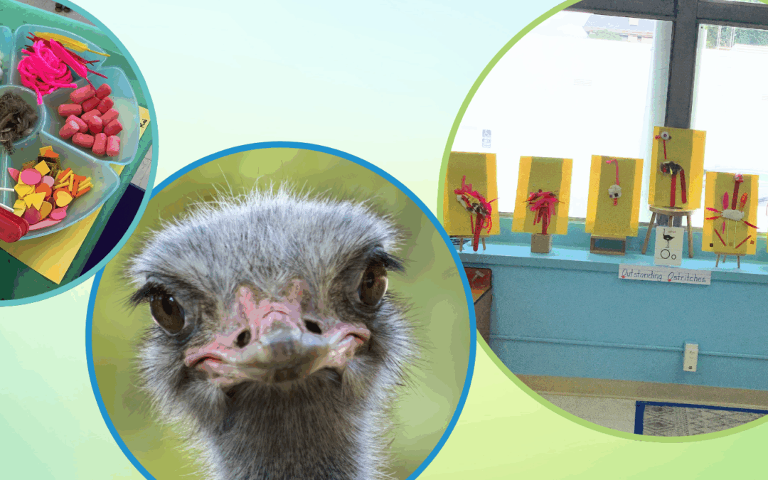 Outrageous Ostriches