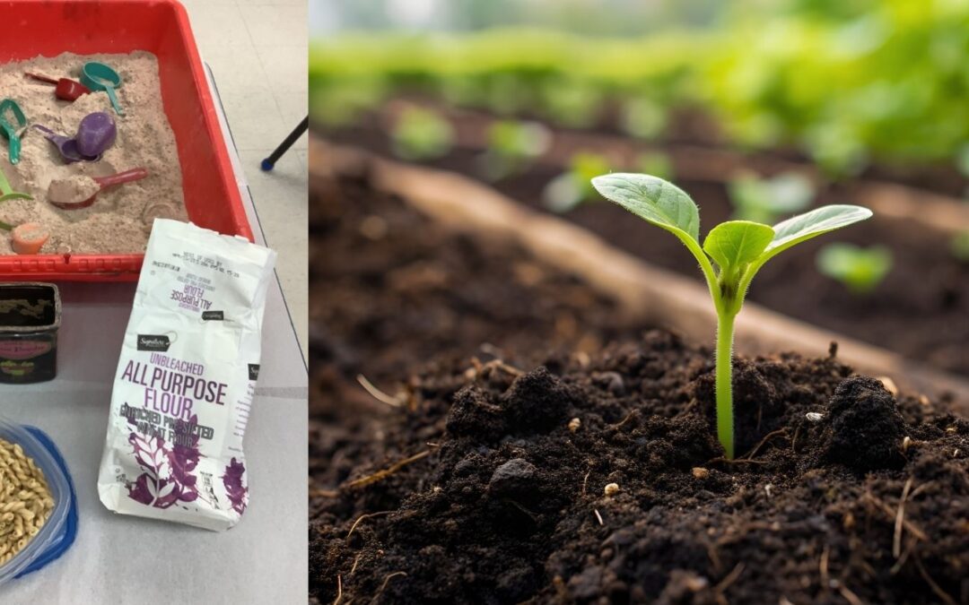 Edible Dirt Sensory Play: Hands-On Learning